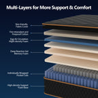 Hybrid Mattress | Memory Foam & Spring, Medium Firmness, Lumbar Support, Boxed – 10", 12" & 14" | Twin, Full, Queen, King