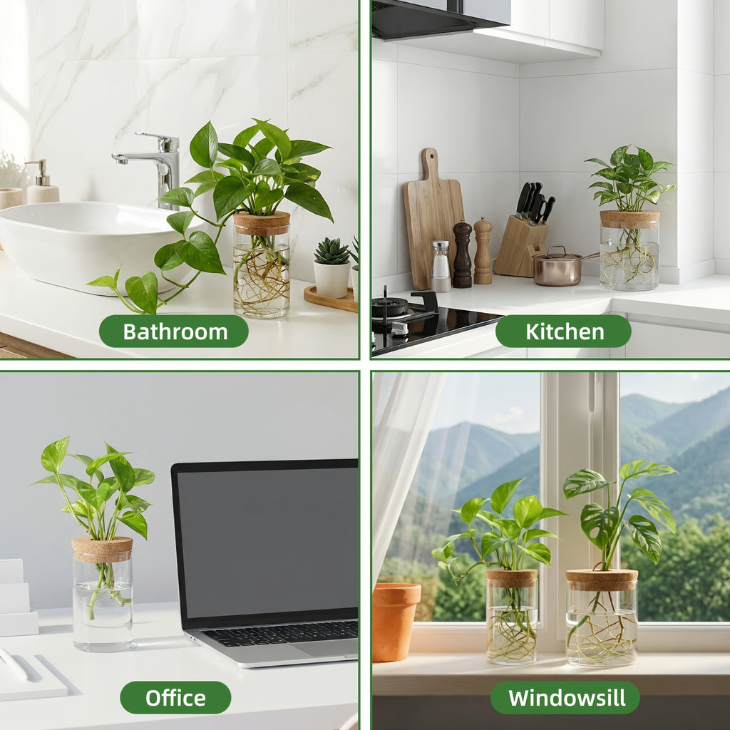 Glass Plant Propagation Station 4pcs Desktop Vase Set 2 Large 2 Small for Plant Cuttings Water Propagation Living Room Bedroom Home Decor