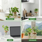 Glass Plant Propagation Station 4pcs Desktop Vase Set 2 Large 2 Small for Plant Cuttings Water Propagation Living Room Bedroom Home Decor