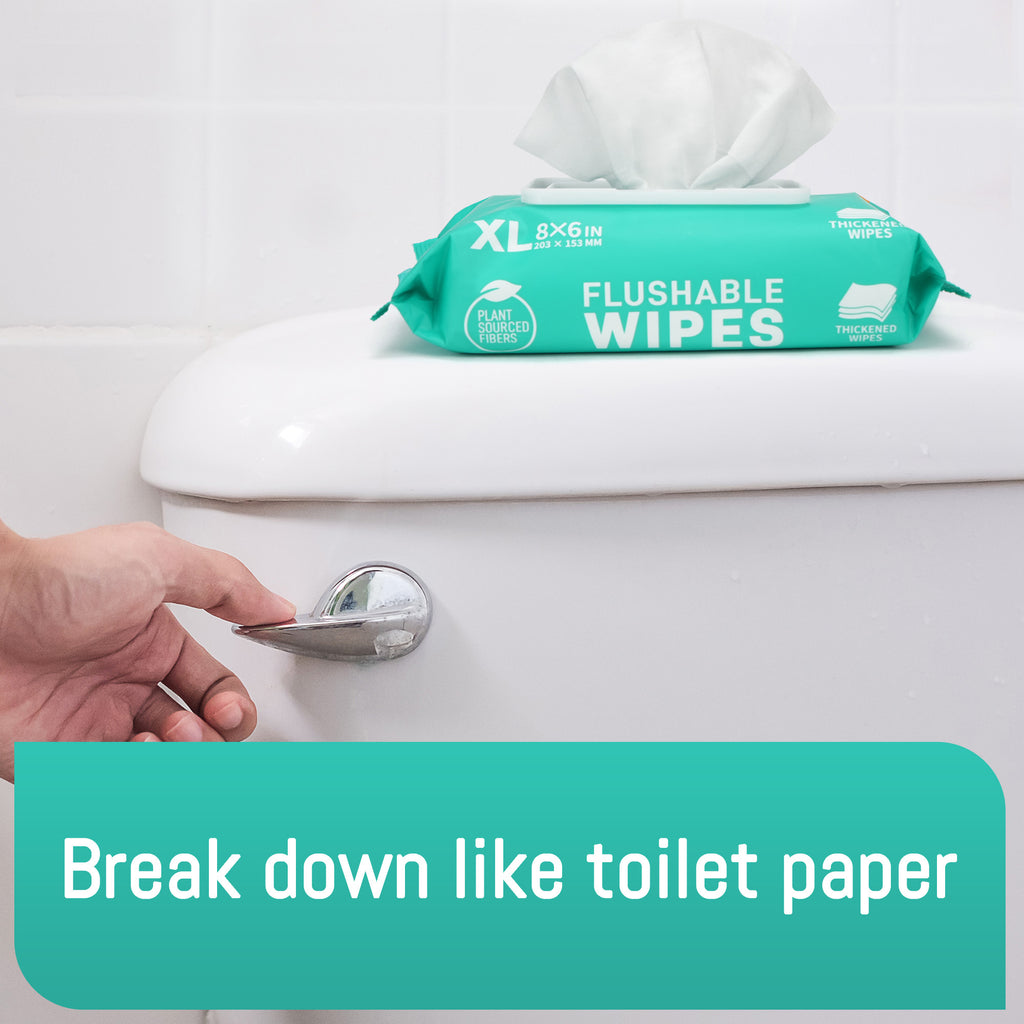 Flushable Wet Wipes 432 Count 9-Pack – Thickened Large 6x8 Inch Butt Wipes for Adults, 48 Wipes per Pack, Gentle Flushable Bathroom Wipes Bulk Value