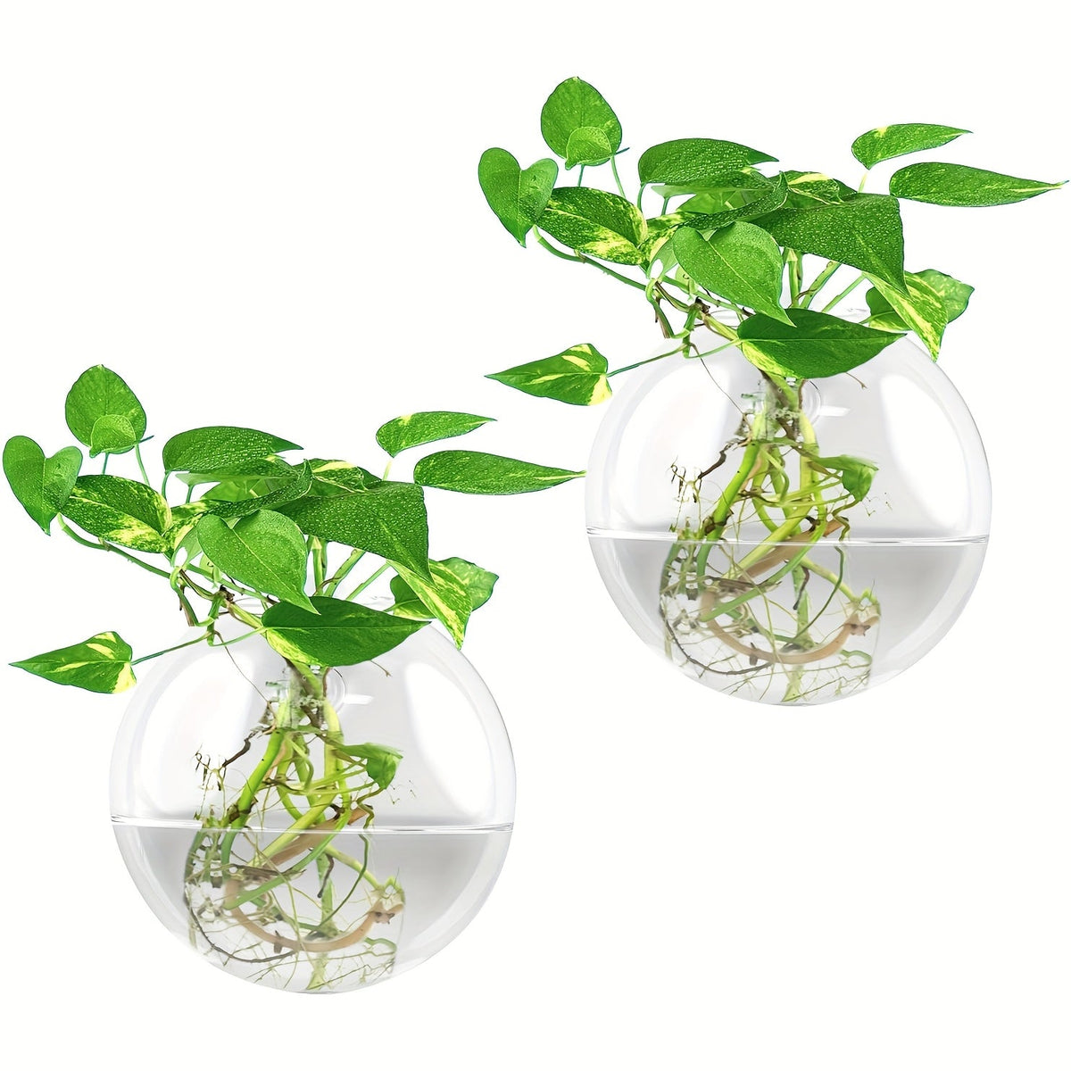 Clear Glass Wall Hanging Vases Propagation Station – 2 Pack Oval Borosilicate Glass Planters for Hydroponics, Air Plants & Flowers, Minimalist Home, Office & Bathroom Decor, Plant Lover Gift