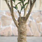Artificial Olive Tree with Black Planter 5 6 7 8ft UV Resistant Faux Olive Plant Silk Leaves Mediterranean Indoor Outdoor Decor Living Room Office Bedroom Gift
