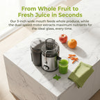 Centrifugal Juicer Machine 2-Speed Wide 3-Inch Feed Chute 54oz Pulp Container Easy to Clean Fruit Vegetable Juice Extractor