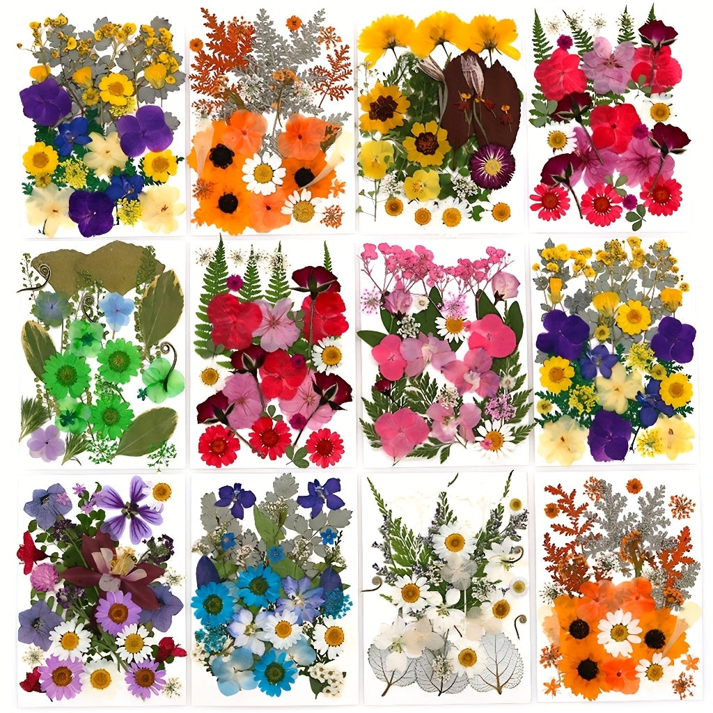 Pressed Dried Flowers Kit 500pcs Mixed Natural Dried Flower Leaves for Resin, Nail Art, Jewelry Making, Scrapbooking, Phone Cases & Floral Crafts, Vacuum Sealed Mixed Styles & Colors