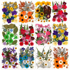 Pressed Dried Flowers Kit 500pcs Mixed Natural Dried Flower Leaves for Resin, Nail Art, Jewelry Making, Scrapbooking, Phone Cases & Floral Crafts, Vacuum Sealed Mixed Styles & Colors