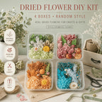 Dried Flower Set Assorted 4 Boxes – Mixed Variety Dried Botanicals for Home Decor, Gift Wrapping, Scrapbooking & Floral Arrangement Decoration Supplies