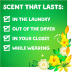 Liquid Laundry Detergent HE Compatible Original Scent 6 Loads 10 fl oz Pack of 12 – Gain Aroma Boost Formula for All Washers