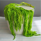 Dried Green Amaranth Hanging Flowers 10pcs 23-27 Inch - Bohemian Wisteria Floral Stems for Wedding Centerpiece, Bridal Bouquet, Photography Prop, Christmas & Valentine's Day Decor