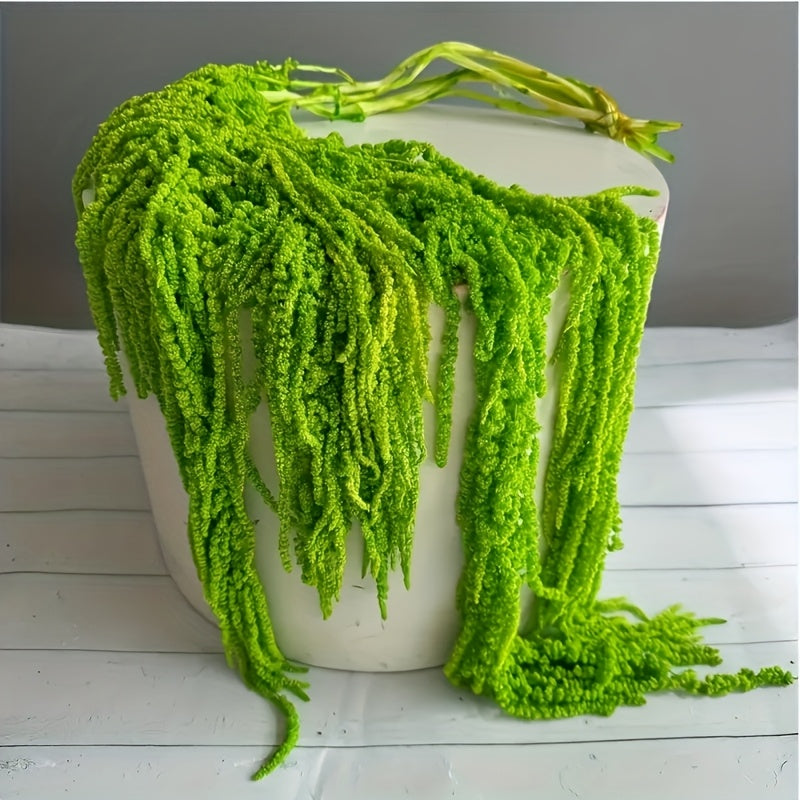 Dried Green Amaranth Hanging Flowers 10pcs 23-27 Inch - Bohemian Wisteria Floral Stems for Wedding Centerpiece, Bridal Bouquet, Photography Prop, Christmas & Valentine's Day Decor