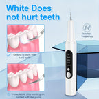 Electric Plaque Remover Teeth Cleaner - LED Light 5 Mode Rechargeable Dental Scaler 3 Stainless Steel Heads Home Travel Oral Care Tool