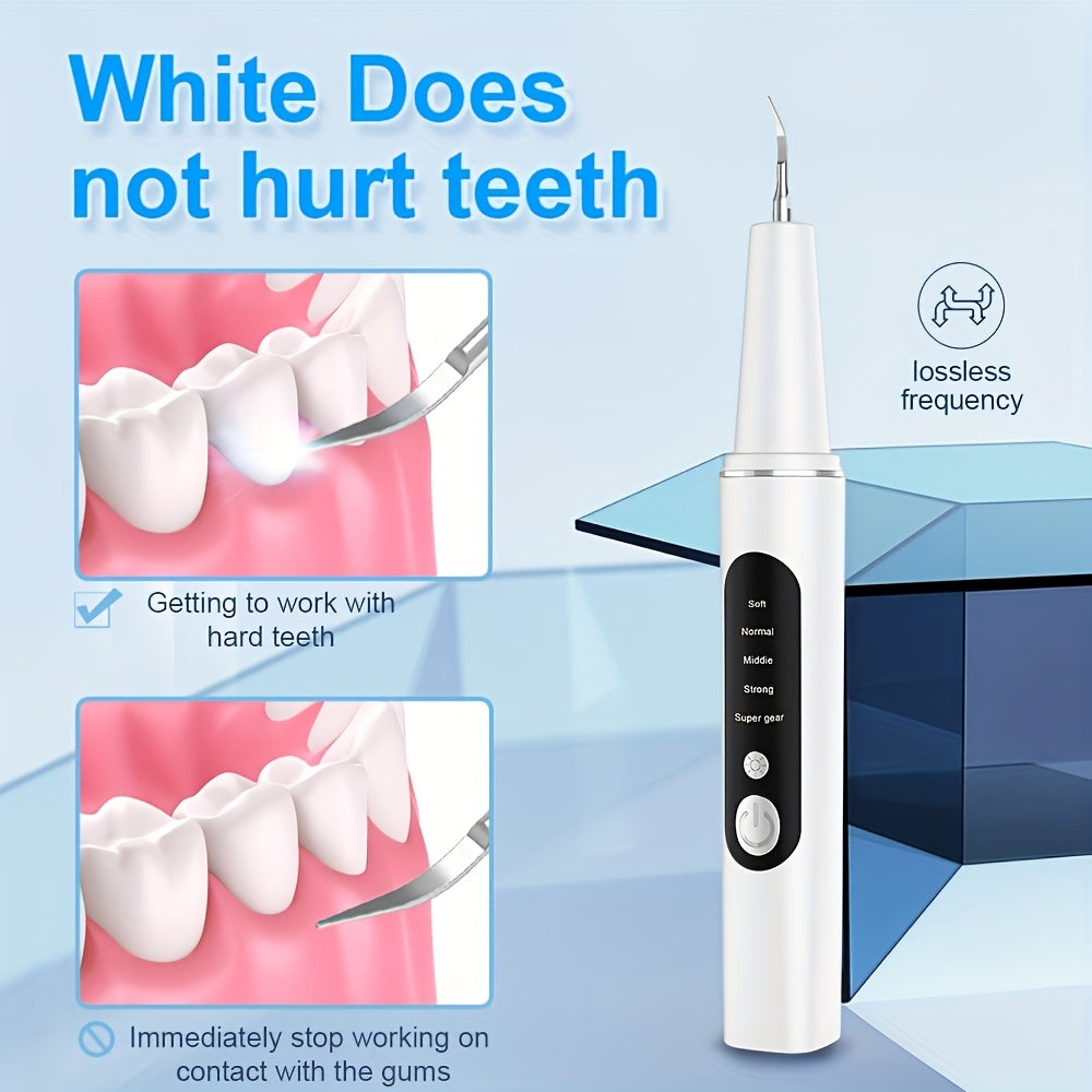 Electric Plaque Remover Teeth Cleaner - LED Light 5 Mode Rechargeable Dental Scaler 3 Stainless Steel Heads Home Travel Oral Care Tool