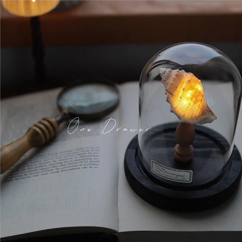 Handmade Sea Urchin Night Light Shell Lamp Ornament - Ocean Island Retro Coastal Decor, Unique Bedroom Bedside Table Lamp Gift, Powder Green Purple