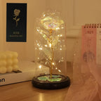 LED Rose Glass Dome Eternal Flower Night Light – Valentine's Day Gift for Girlfriend Mother's Day Wedding Bridesmaid Romantic Desktop Decor