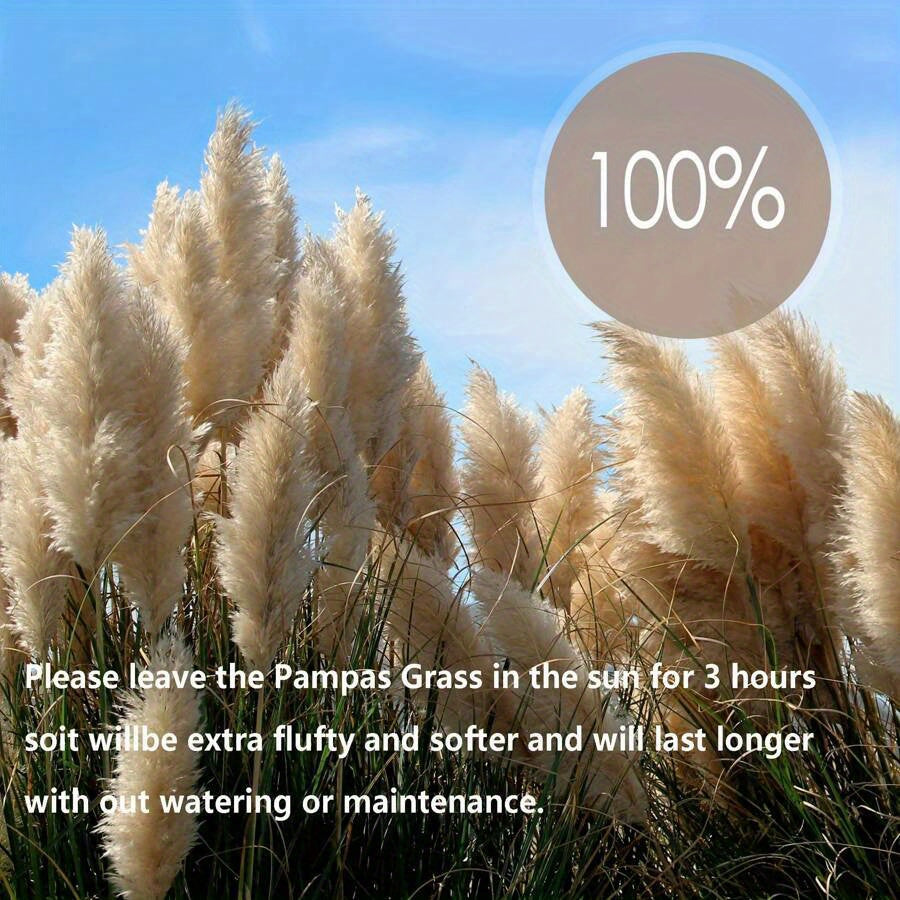 Tall Pampas Grass Stems 6pcs 39 Inch, Fluffy Natural Dried Pampas Grass Bouquet for Wedding Centerpiece, Boho Home Decor, Vase Filler, Party & Office Decoration, Valentine's Day & Autumn Floral Arrangement