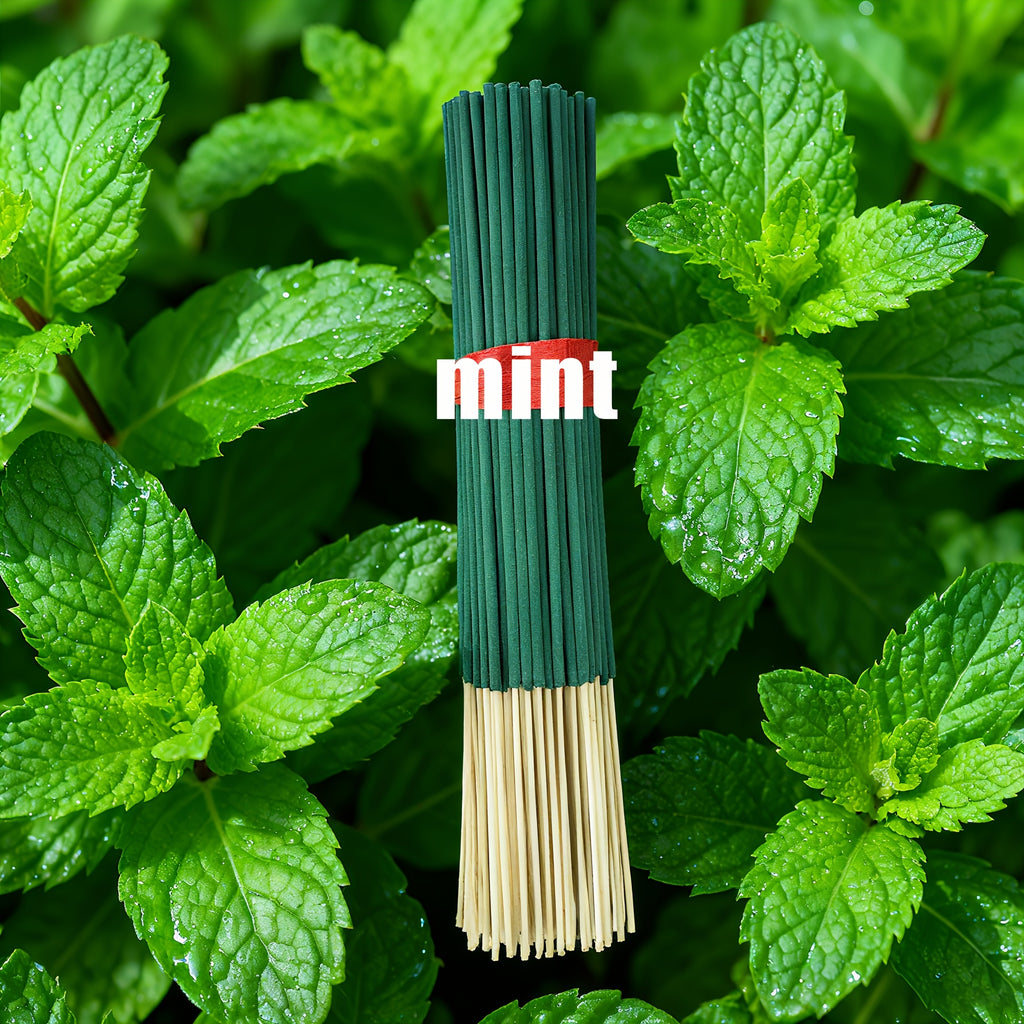 Forest Series Incense Sticks Set of 7 – Vanilla, Eucalyptus, Frankincense, Sandalwood, Citronella, Sage & Peppermint | Long-Lasting Colorful Aromatherapy Sticks for Home, Meditation & Relaxation