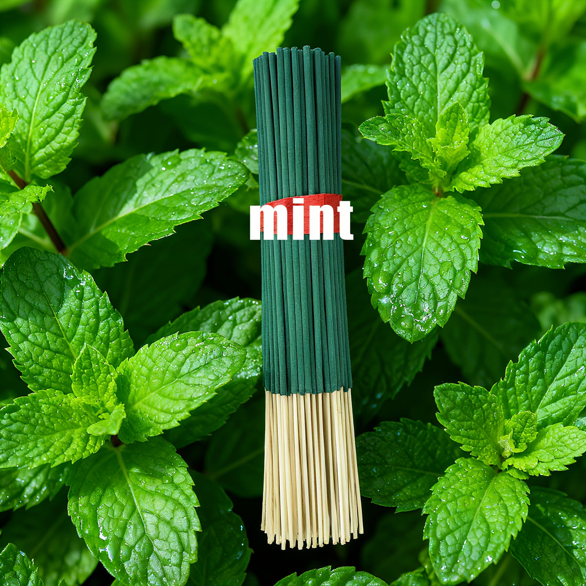 Forest Series Incense Sticks Set of 7 – Vanilla, Eucalyptus, Frankincense, Sandalwood, Citronella, Sage & Peppermint | Long-Lasting Colorful Aromatherapy Sticks for Home, Meditation & Relaxation