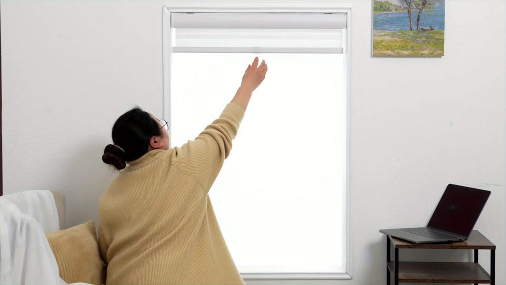 Cordless Zebra Roller Shades with Metal Valance – Dual Layer Day Night Privacy Light Filtering Auto-Stop Window Blinds 18–72” Wide White & Light Grey