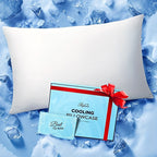 Ice Cooling Pillowcase for Hot Sleepers - Instantly Cool Nylon Elastane Fabric, Stays Cold All Night, Invisible Zipper Pillow Cover, Queen & King Size, White Light Blue Dark Gray Light Brown