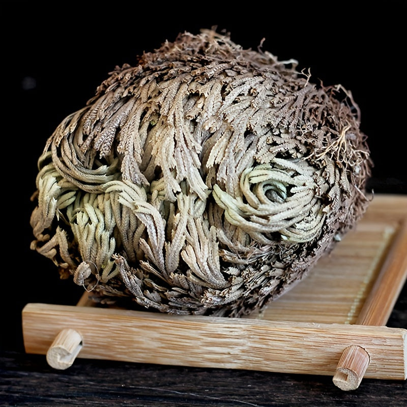 Rose of Jericho 20pcs Dried Sacred Resurrection Plant – Selaginella Lepidophylla Prayer Plant for Spiritual Cleansing, Luck & Home Decor