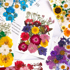 Pressed Dried Flowers Kit 500pcs Mixed Natural Dried Flower Leaves for Resin, Nail Art, Jewelry Making, Scrapbooking, Phone Cases & Floral Crafts, Vacuum Sealed Mixed Styles & Colors