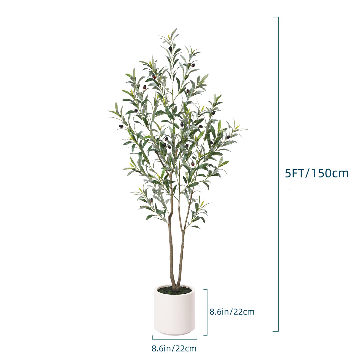 Faux Olive Tree in White Pot – 5/6/7 Ft Multi-Trunk Tall Artificial Olive Plant with 450/630/810 Lifelike Leaves & Fruits, Perfect for Indoor Outdoor Living Room Home Office Holiday Decor