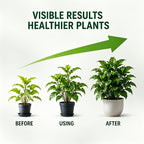 Plant Leaf Shine Spray 40ml – Removes Dust & Yellow, Restores Natural Gloss for Indoor & Outdoor Potted Plants