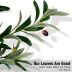 Artificial Olive Tree 5/6/7FT Multi-Trunk Pre-Potted – Lifelike Faux Indoor Tree with 706-1296 Leaves & Realistic Olives – Mediterranean Farmhouse Decor for Home, Office & Porch