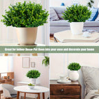 Artificial Boxwood Shrubs 10 Bundles UV Resistant – Realistic Faux Hedge Greenery for Garden, Patio, Backyard, Home & Office – Low Maintenance Boxwood Stems for Weddings & Outdoor Decor