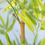 6FT Artificial Bamboo Stalks 12/24/36 Pack – Realistic Fake Bamboo Plants for Indoor Outdoor Privacy Screen, Garden, Patio & Home Decor