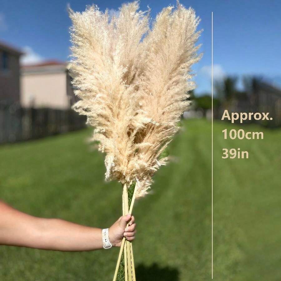 Tall Pampas Grass Stems 6pcs 39 Inch, Fluffy Natural Dried Pampas Grass Bouquet for Wedding Centerpiece, Boho Home Decor, Vase Filler, Party & Office Decoration, Valentine's Day & Autumn Floral Arrangement