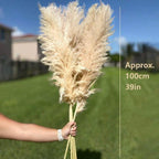 Tall Pampas Grass Stems 6pcs 39 Inch, Fluffy Natural Dried Pampas Grass Bouquet for Wedding Centerpiece, Boho Home Decor, Vase Filler, Party & Office Decoration, Valentine's Day & Autumn Floral Arrangement