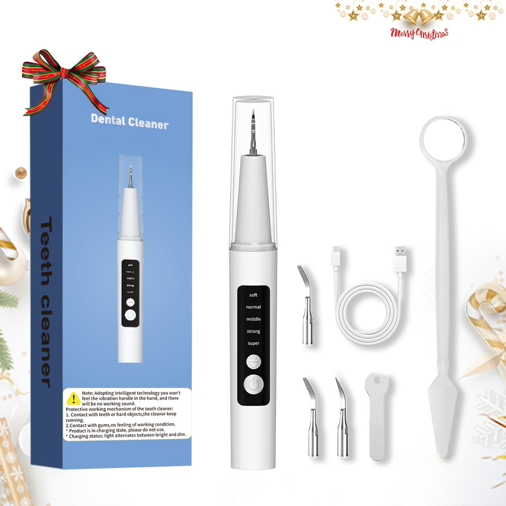 Electric Water Flosser Dental Cleaning Kit - 5 Mode LED Light 4 Replaceable Heads Deep Clean Oral Care Fresh Breath Gift for Mom Dad Women