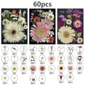 Dried Pressed Flowers 60pcs with Natural Herbs Kit – Real Pressed Flowers & Dry Leaves Bulk for Epoxy Resin Jewelry, Scrapbooking, DIY Crafts, Candle & Soap Making, Nail Décor (2 Styles)