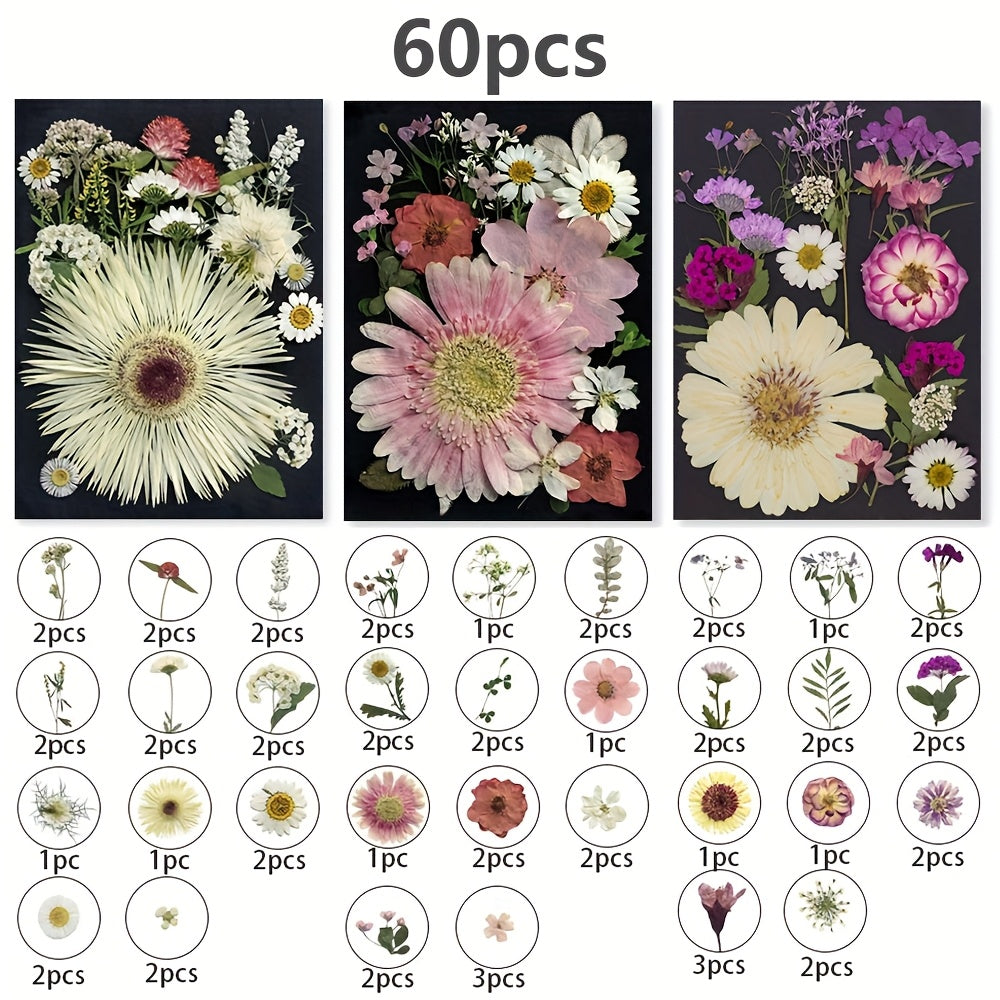 Dried Pressed Flowers 60pcs with Natural Herbs Kit – Real Pressed Flowers & Dry Leaves Bulk for Epoxy Resin Jewelry, Scrapbooking, DIY Crafts, Candle & Soap Making, Nail Décor (2 Styles)