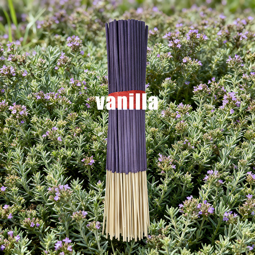 Forest Series Incense Sticks Set of 7 – Vanilla, Eucalyptus, Frankincense, Sandalwood, Citronella, Sage & Peppermint | Long-Lasting Colorful Aromatherapy Sticks for Home, Meditation & Relaxation