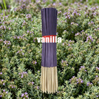 Forest Series Incense Sticks Set of 7 – Vanilla, Eucalyptus, Frankincense, Sandalwood, Citronella, Sage & Peppermint | Long-Lasting Colorful Aromatherapy Sticks for Home, Meditation & Relaxation