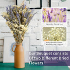 Dried Lavender & Baby’s Breath Flower Bundles 2 Bunches 17 Inch – Dried Gypsophila Bouquet for Vase, Home Decor, Wedding, Photography & DIY Wreath – Valentine’s Day Floral Arrangement Gift