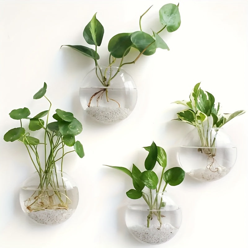 Clear Glass Wall Hanging Vases Propagation Station – 2 Pack Oval Borosilicate Glass Planters for Hydroponics, Air Plants & Flowers, Minimalist Home, Office & Bathroom Decor, Plant Lover Gift