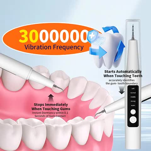 Electric Water Flosser Dental Cleaning Kit - 5 Mode LED Light 4 Replaceable Heads Deep Clean Oral Care Fresh Breath Gift for Mom Dad Women