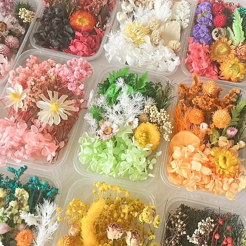 Dried Flowers for Crafts 4-Box Set Random Colors – For Candle Making, Resin Jewelry, Greeting Cards, Photo Frames, Scrapbooking & Halloween Decor