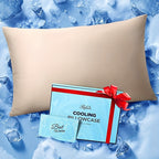 Ice Cooling Pillowcase for Hot Sleepers - Instantly Cool Nylon Elastane Fabric, Stays Cold All Night, Invisible Zipper Pillow Cover, Queen & King Size, White Light Blue Dark Gray Light Brown