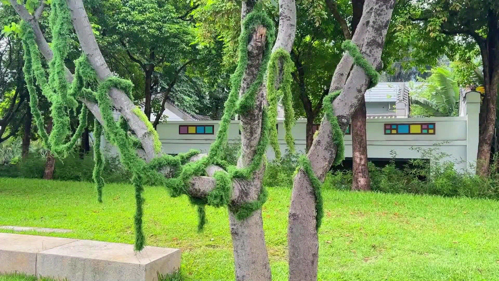 Artificial Moss Vine Decorative Greenery – 5ft 10ft 16ft Fake Vines for Wall Decoration, Wedding Backdrop, Fence, Garden, Christmas & Party Decor