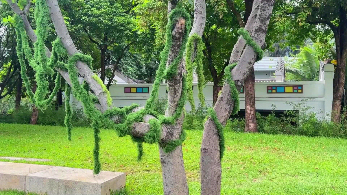 Artificial Moss Vine Decorative Greenery – 5ft 10ft 16ft Fake Vines for Wall Decoration, Wedding Backdrop, Fence, Garden, Christmas & Party Decor