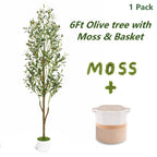 Artificial Olive Tree with Basket, Planter & Moss 5ft 6ft 7ft – Tall Indoor Fake Olive Plant with Realistic Wood Trunk, Lifelike Branches & Fruits for Office, Living Room & Spring Summer Home Decor