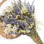 Dried Lavender & Baby’s Breath Flower Bundles 2 Bunches 17 Inch – Dried Gypsophila Bouquet for Vase, Home Decor, Wedding, Photography & DIY Wreath – Valentine’s Day Floral Arrangement Gift