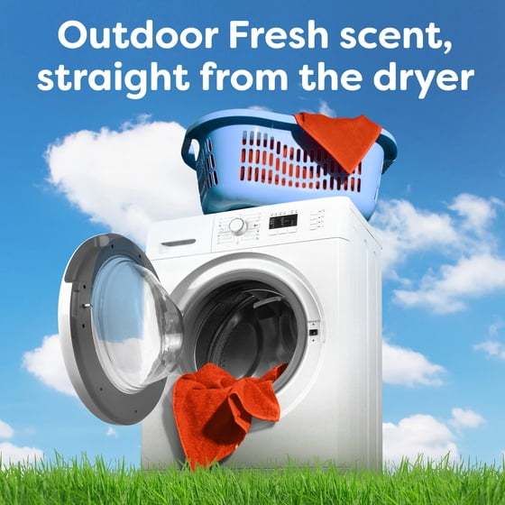 Fresh Scent Laundry Dryer Sheets 58 Count Value Pack – Everyday Fabric Softener & Static Control for Clothes, Linens & Household Fabrics with Outdoor-Inspired Fragrance