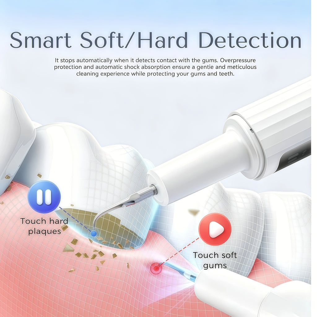 Electric Plaque Remover Teeth Cleaner - LED Light 5 Mode Rechargeable Dental Scaler 3 Stainless Steel Heads Home Travel Oral Care Tool