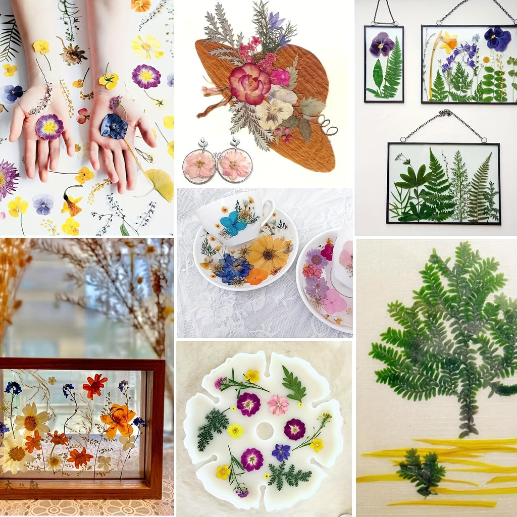 Pressed Dried Flowers Kit 500pcs Mixed Natural Dried Flower Leaves for Resin, Nail Art, Jewelry Making, Scrapbooking, Phone Cases & Floral Crafts, Vacuum Sealed Mixed Styles & Colors