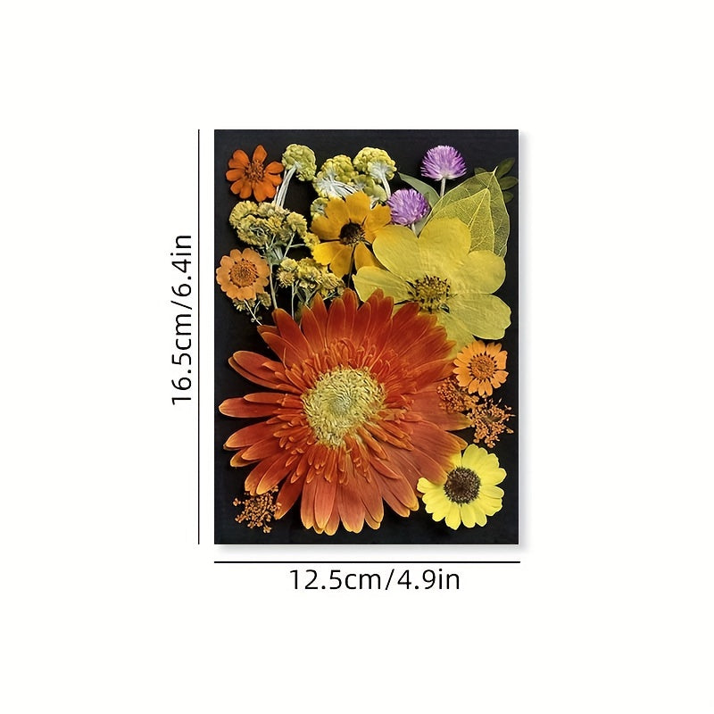 Dried Pressed Flowers 60pcs with Natural Herbs Kit – Real Pressed Flowers & Dry Leaves Bulk for Epoxy Resin Jewelry, Scrapbooking, DIY Crafts, Candle & Soap Making, Nail Décor (2 Styles)