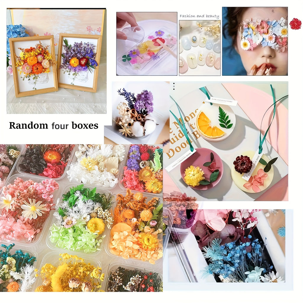 Dried Flowers for Crafts 4-Box Set Random Colors – For Candle Making, Resin Jewelry, Greeting Cards, Photo Frames, Scrapbooking & Halloween Decor